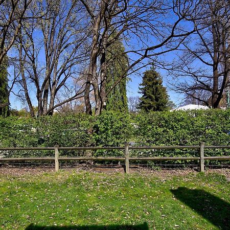 Aberdeen Cottage - Nestled In The Heart Of Arrowtown - New! מראה חיצוני תמונה